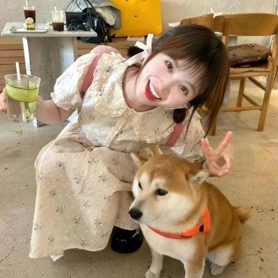 偷心女巫
